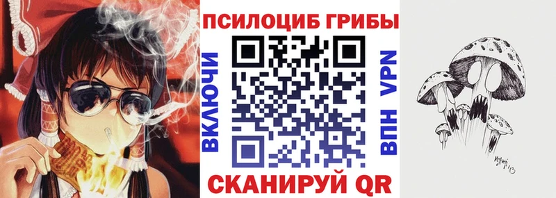 купить  сайты  Сельцо  Галлюциногенные грибы Psilocybine cubensis 